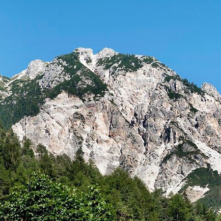 Apartments Armeri Blue Dolomites サン・ヴィジリオ・ディ・マレッベ エクステリア 写真